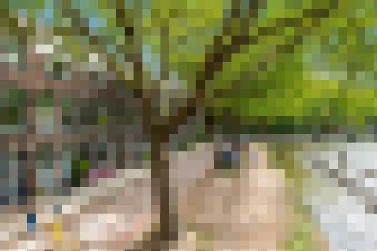 Kanaalweg 15 Delft thumbnail 6