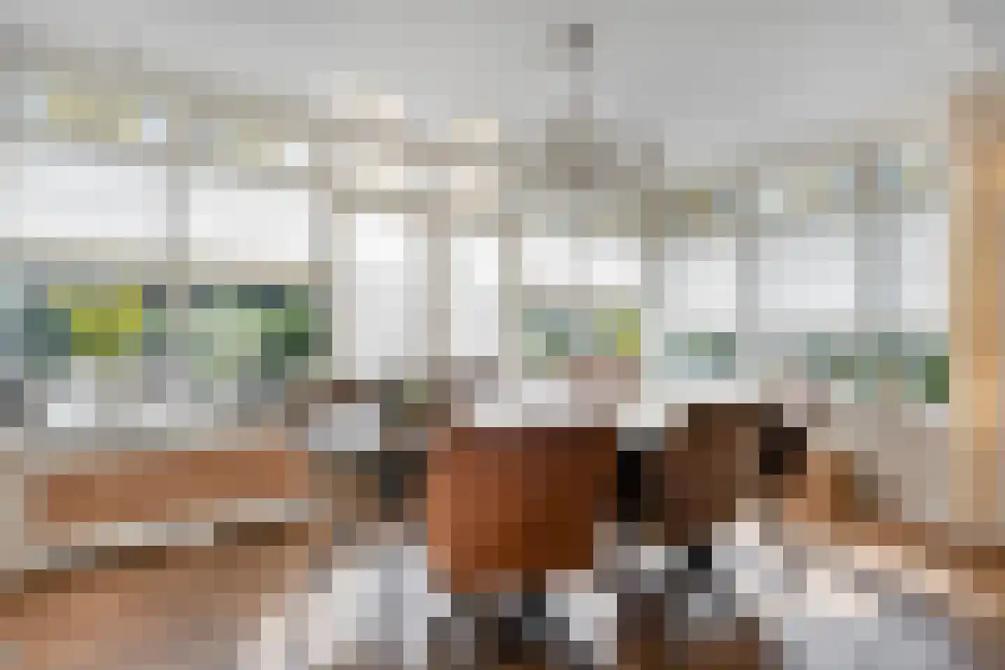 Kanaalweg 15 Hoogeveen thumbnail 17