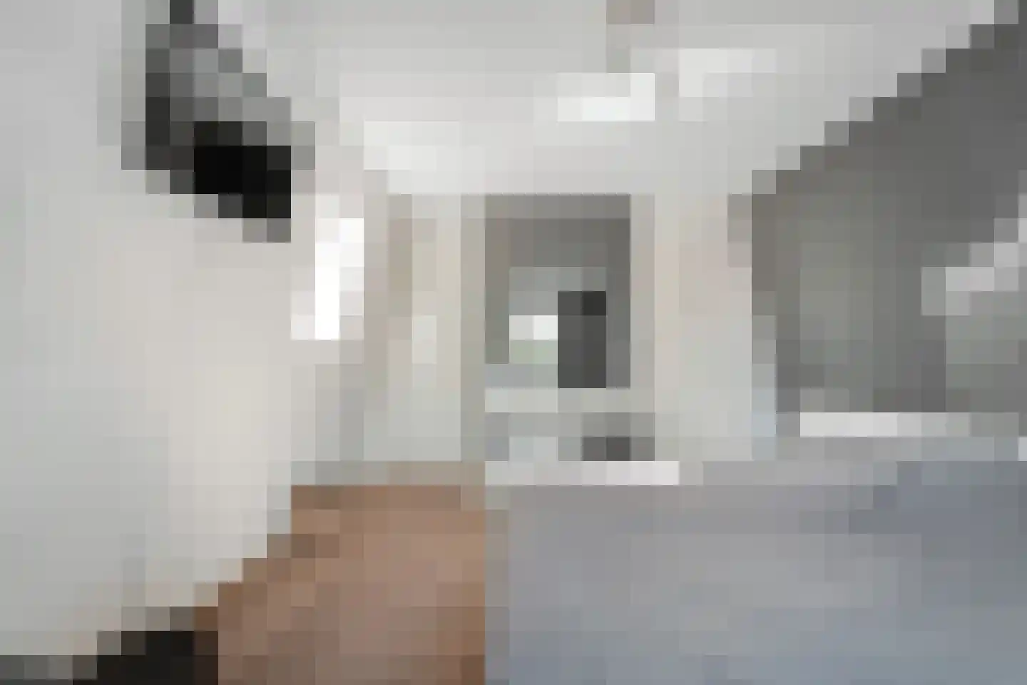 Kanaalweg 15 Hoogeveen thumbnail 30
