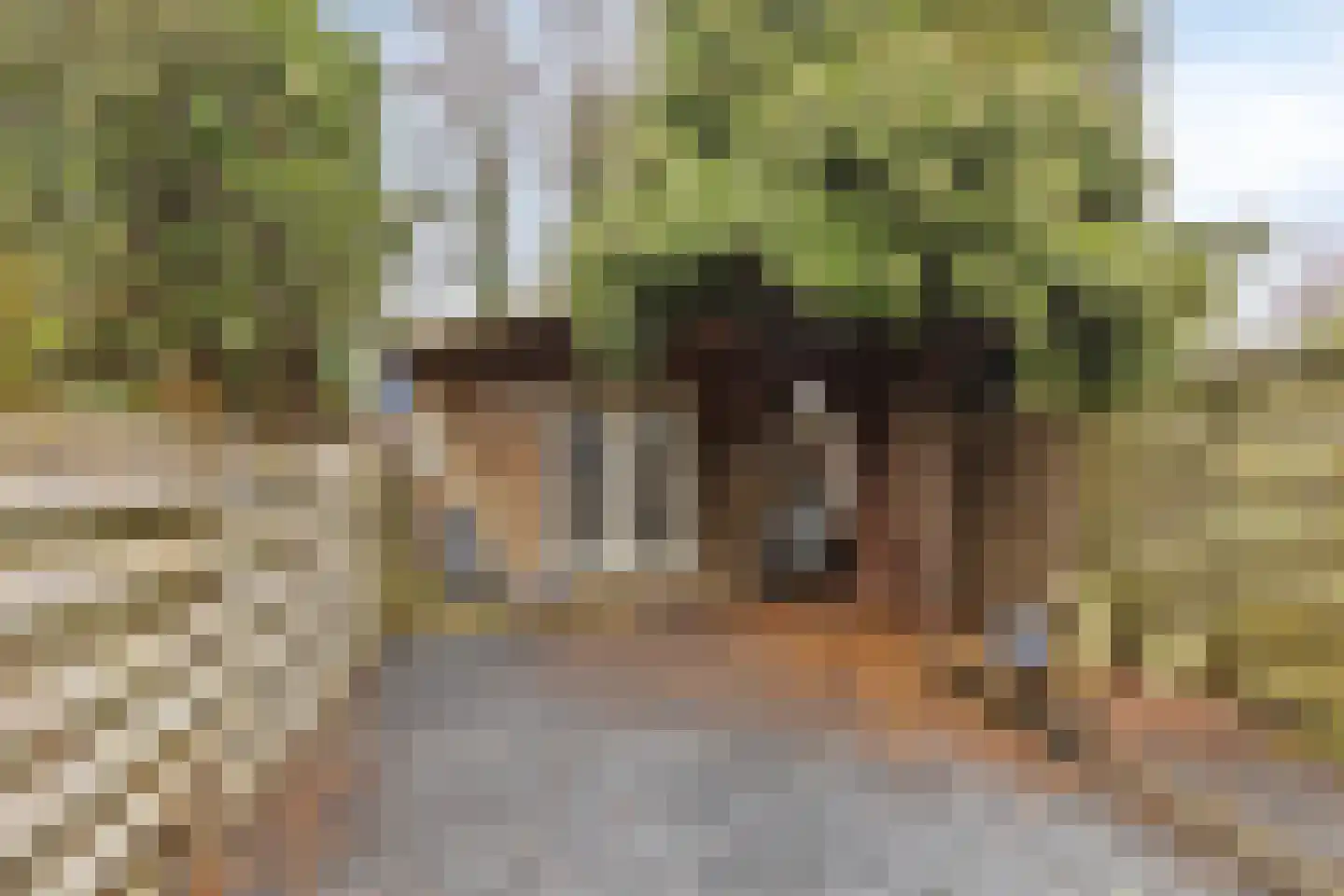 Kanaalweg 16 Capelle aan den IJssel thumbnail 22