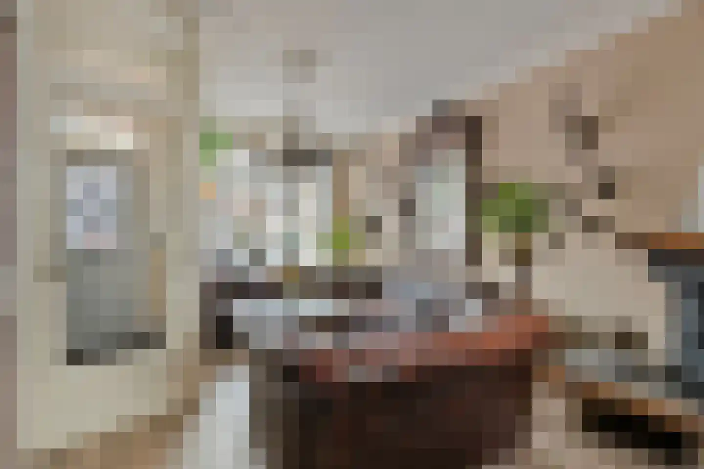 Kanaalweg 16 Capelle aan den IJssel thumbnail 6