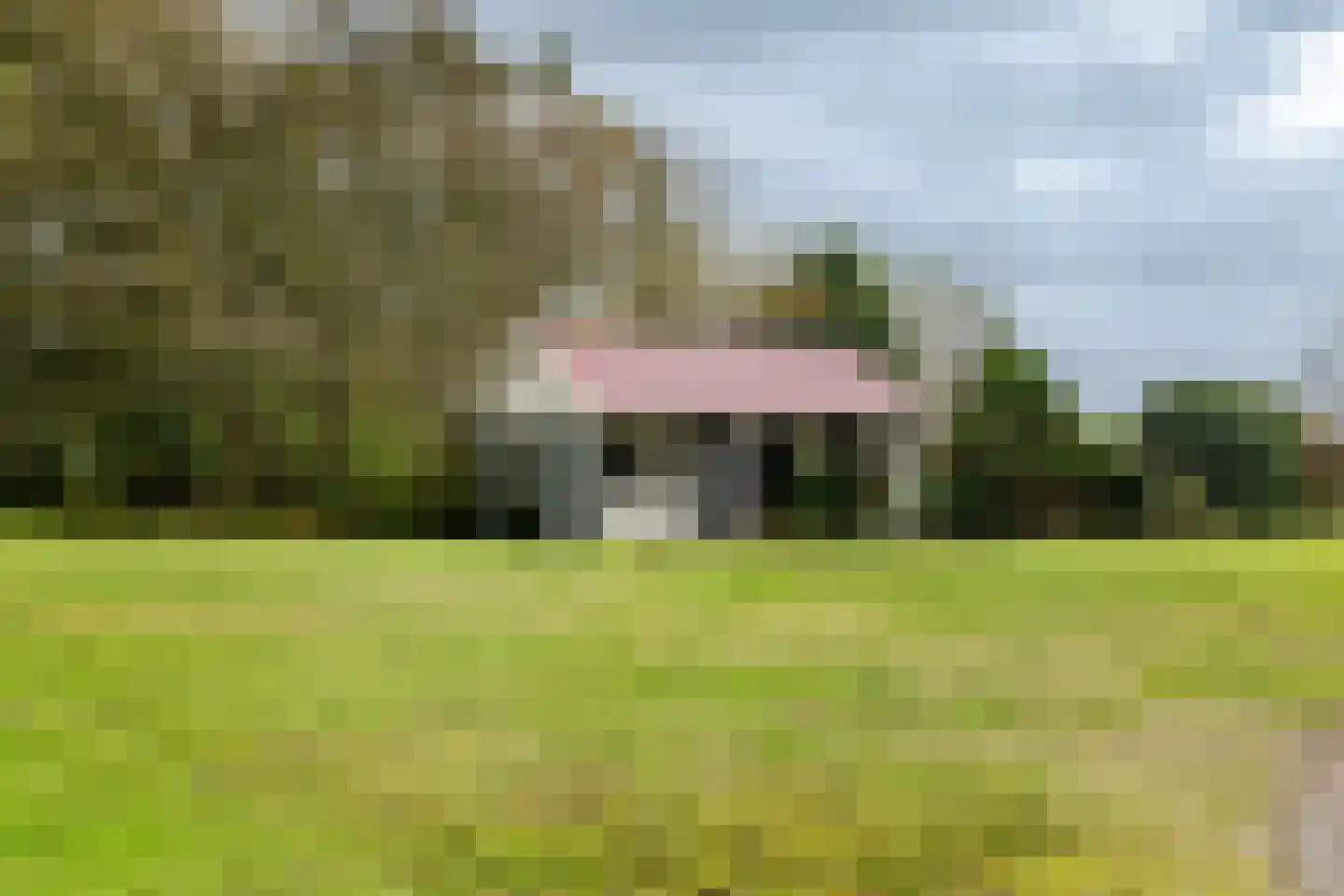 Kanaalweg 17 Heiloo thumbnail 23