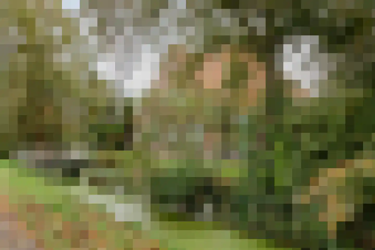 Kanaalweg 17 Heiloo thumbnail 26