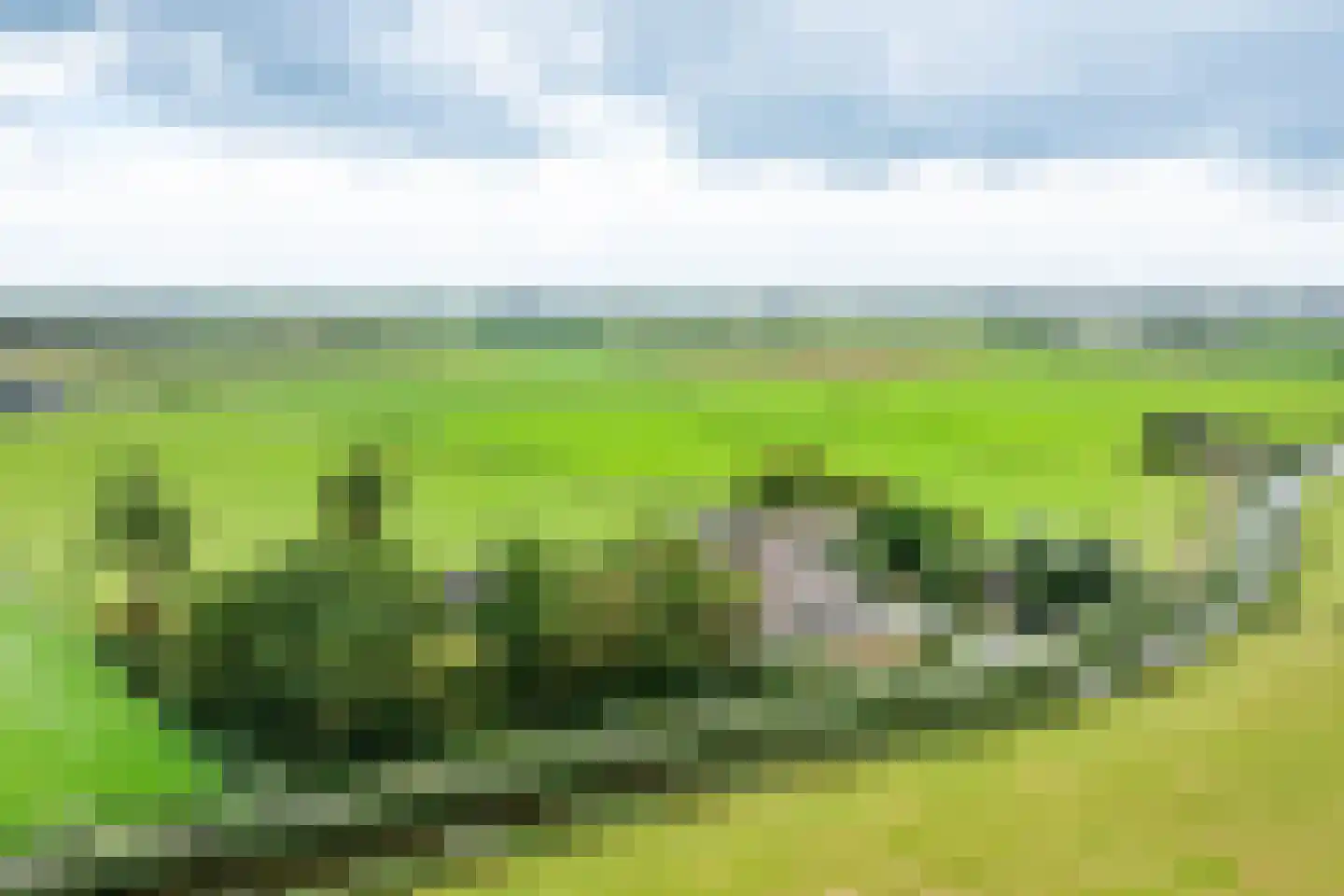 Kanaalweg 19 Heiloo thumbnail 41