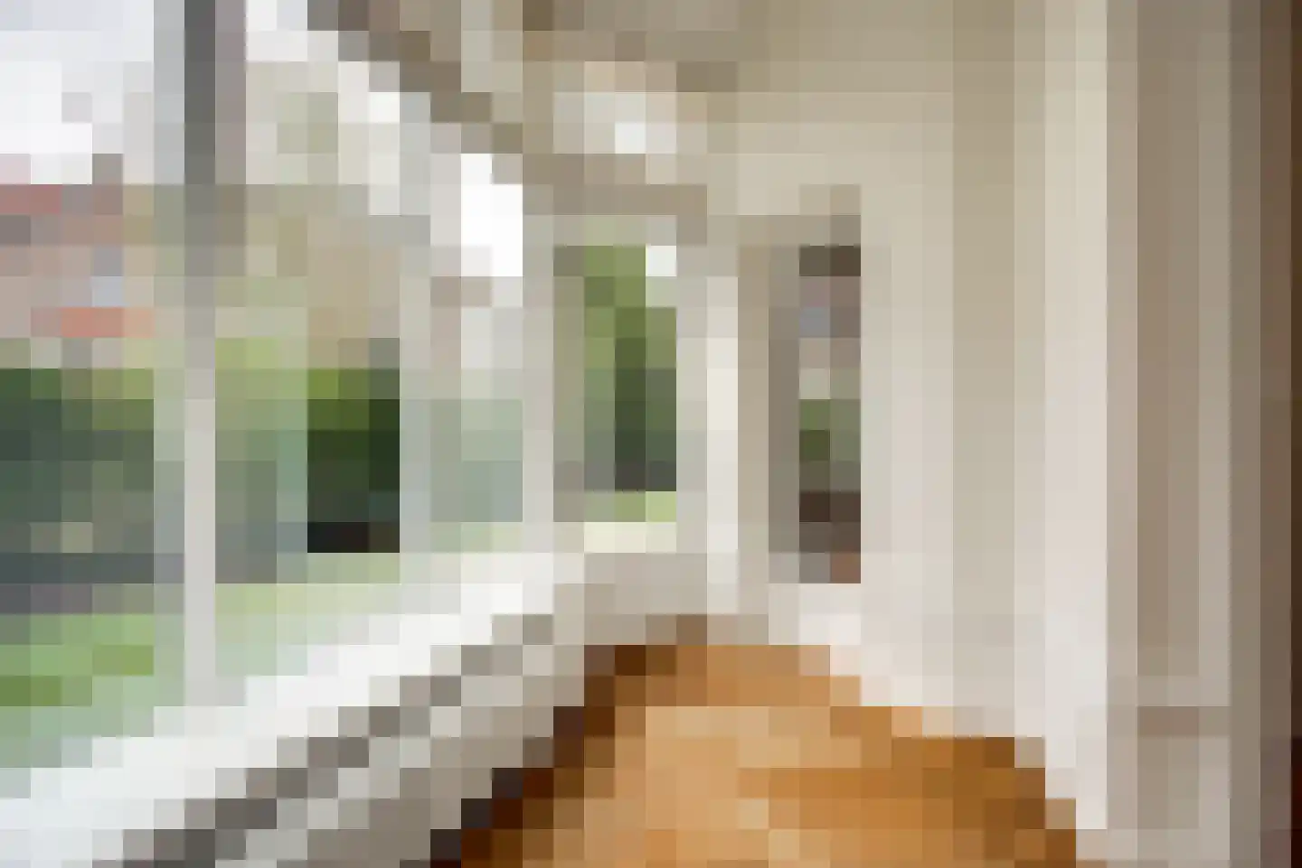 Kanaalweg 2 A Den Haag thumbnail 29