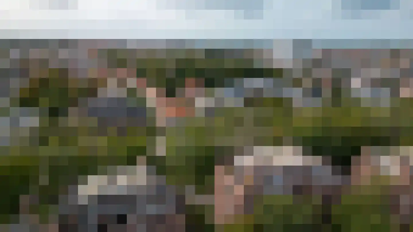Kanaalweg 2 A Den Haag thumbnail 69