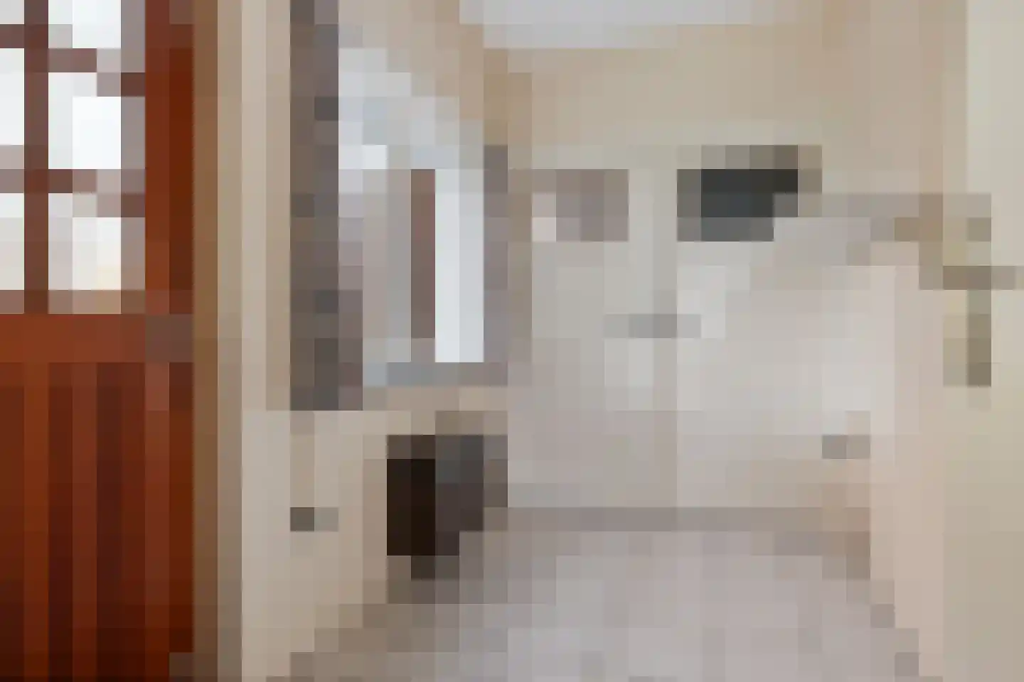 Kanaalweg 2 Appingedam thumbnail 26