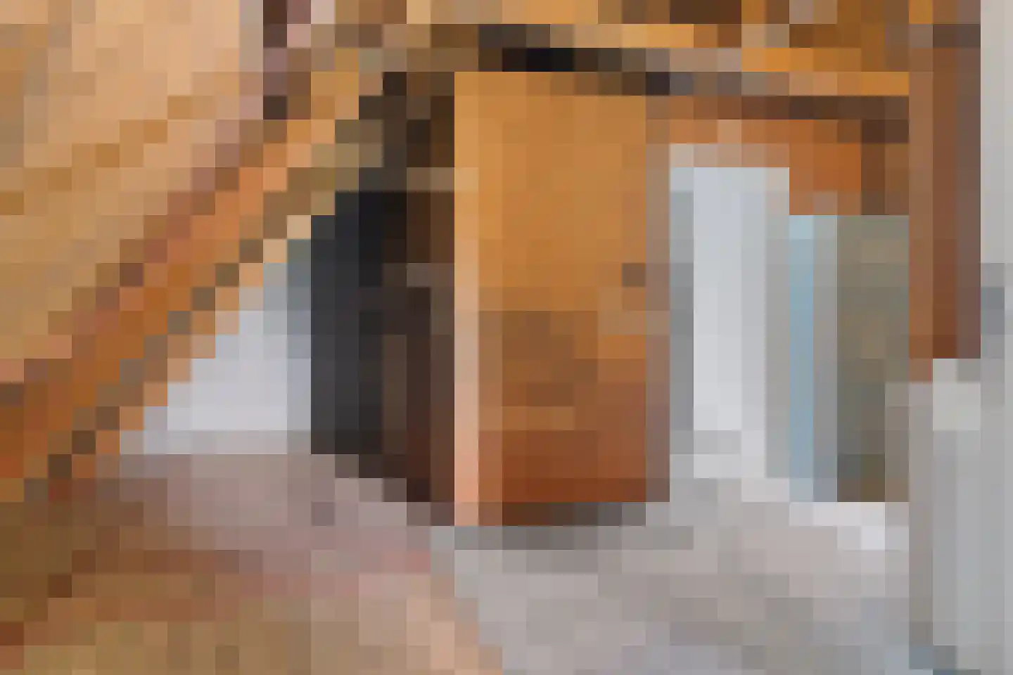 Kanaalweg 2 Appingedam thumbnail 30