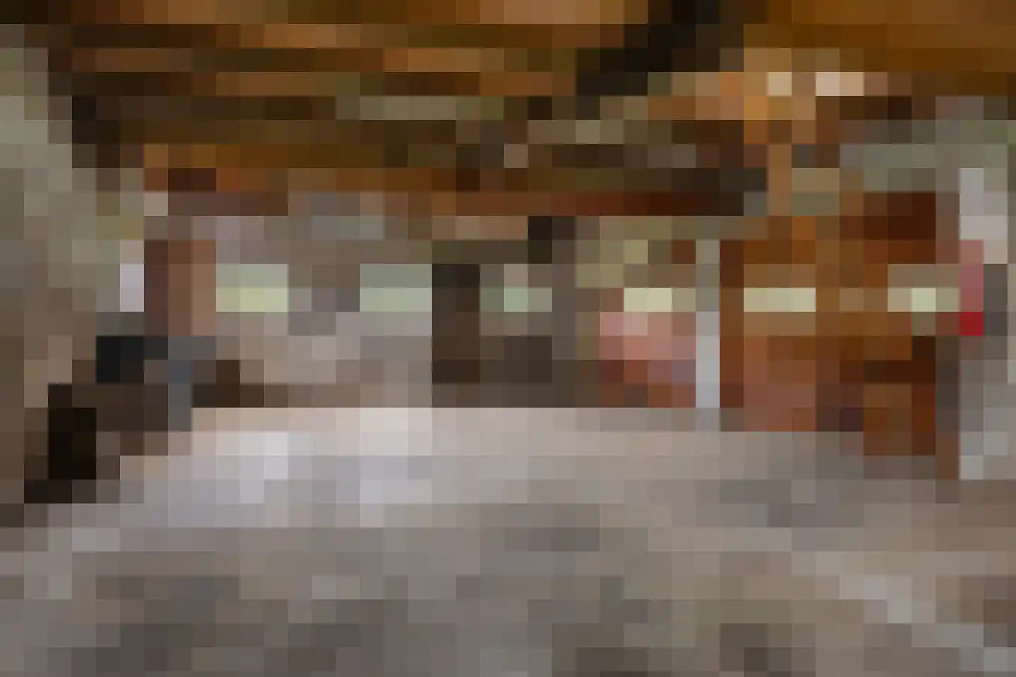 Kanaalweg 2 Appingedam thumbnail 41
