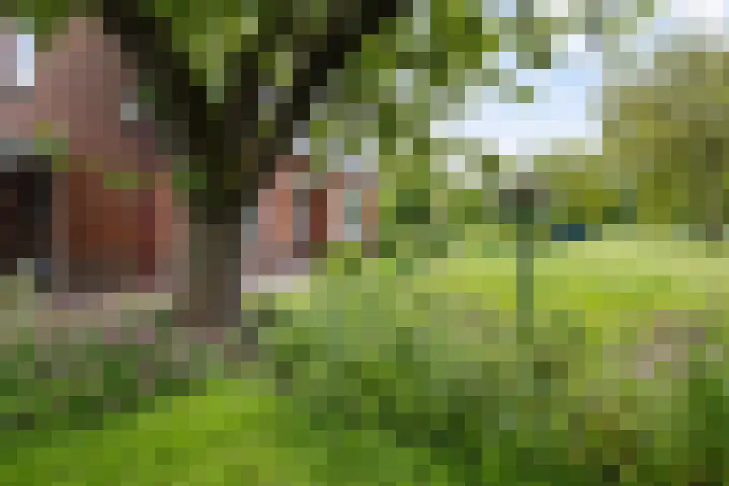 Kanaalweg 2 Appingedam thumbnail 49