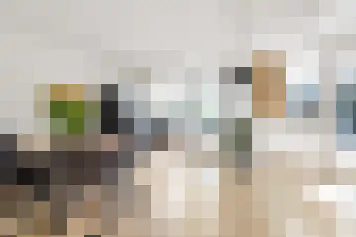 Kanaalweg 2 Halfweg thumbnail 11