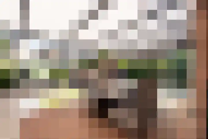 Kanaalweg 2 Halfweg thumbnail 12