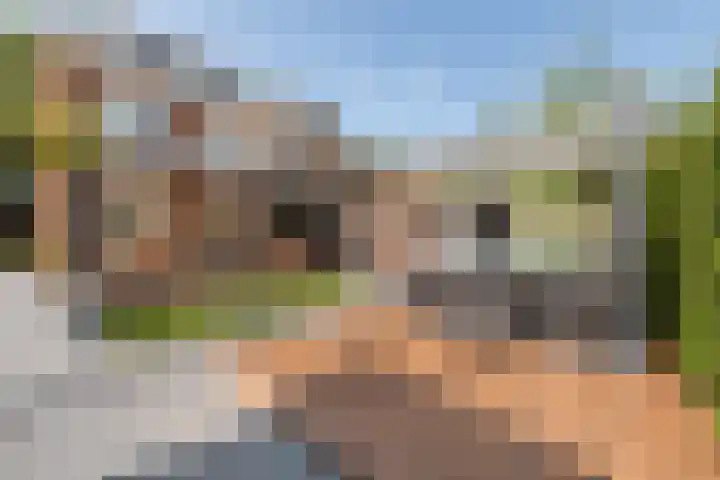 Kanaalweg 2 Halfweg thumbnail 14