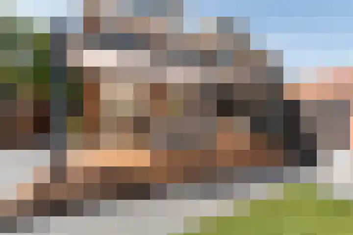 Kanaalweg 2 Halfweg thumbnail 15