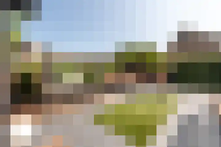 Kanaalweg 2 Halfweg thumbnail 17