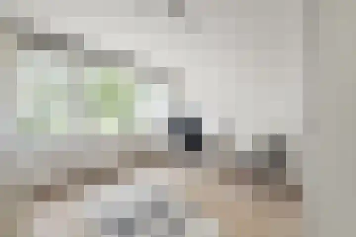 Kanaalweg 2 Halfweg thumbnail 23