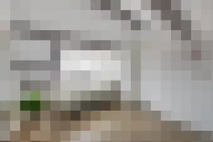 Kanaalweg 2 Halfweg thumbnail 27
