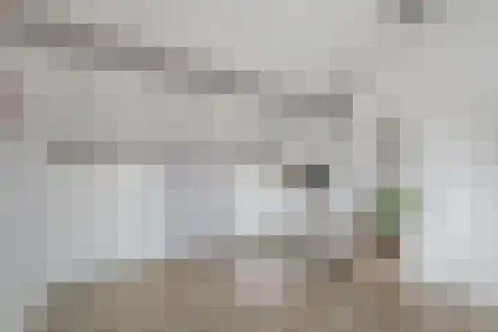 Kanaalweg 2 Halfweg thumbnail 28