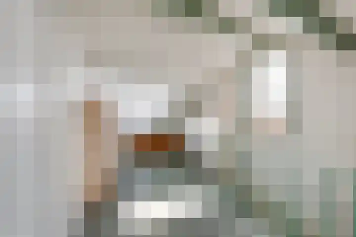 Kanaalweg 2 Halfweg thumbnail 29
