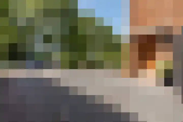 Kanaalweg 2 Halfweg thumbnail 31