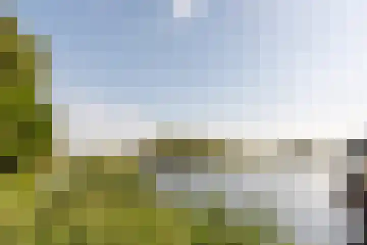 Kanaalweg 2 Halfweg thumbnail 34