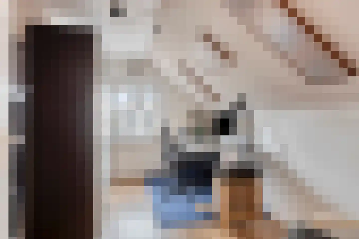 Kanaalweg 20 a Heiloo thumbnail 26