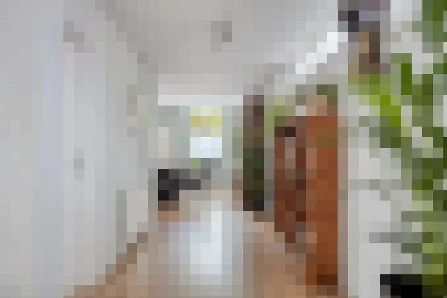 Kanaalweg 20 a Heiloo thumbnail 8