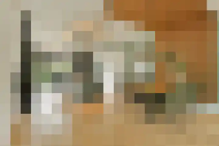 Kanaalweg 27 Halfweg thumbnail 10