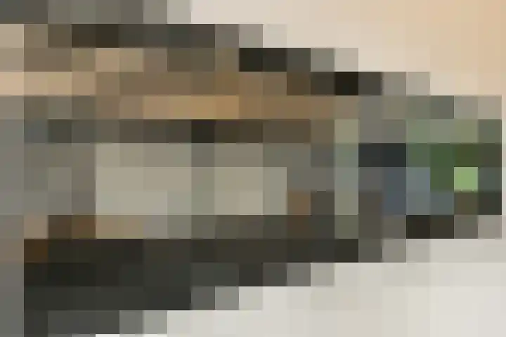 Kanaalweg 27 Halfweg thumbnail 14