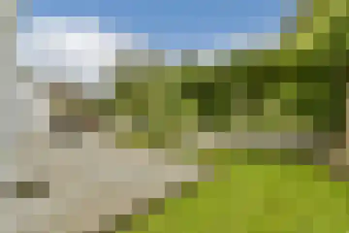 Kanaalweg 27 Halfweg thumbnail 17