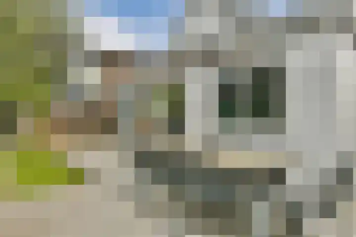 Kanaalweg 27 Halfweg thumbnail 18