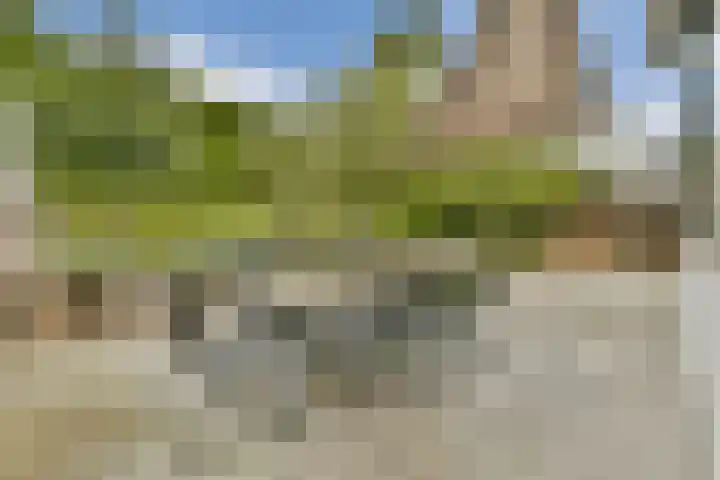 Kanaalweg 27 Halfweg thumbnail 19