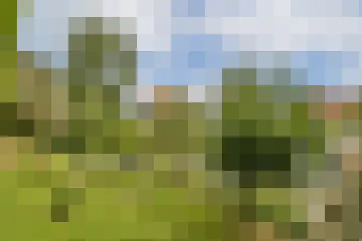 Kanaalweg 27 Halfweg thumbnail 20