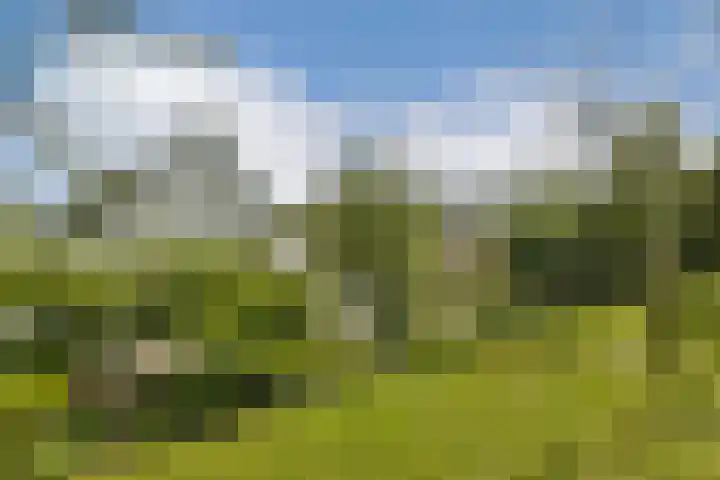 Kanaalweg 27 Halfweg thumbnail 21