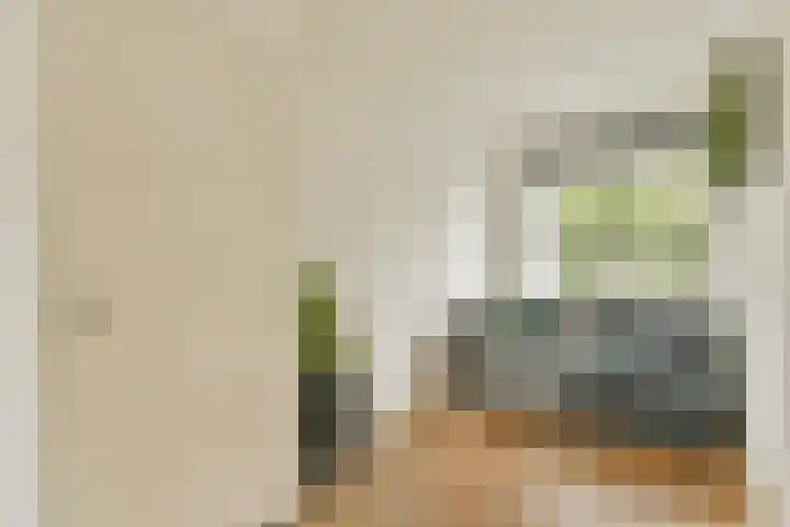 Kanaalweg 27 Halfweg thumbnail 23