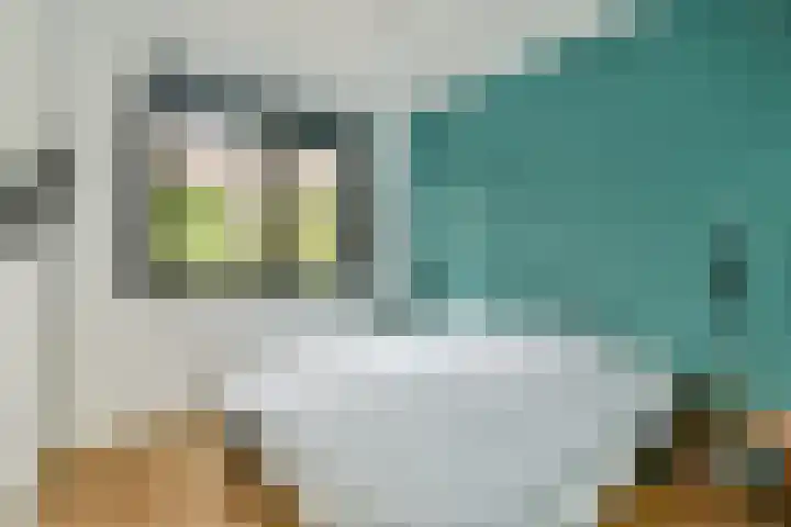 Kanaalweg 27 Halfweg thumbnail 27