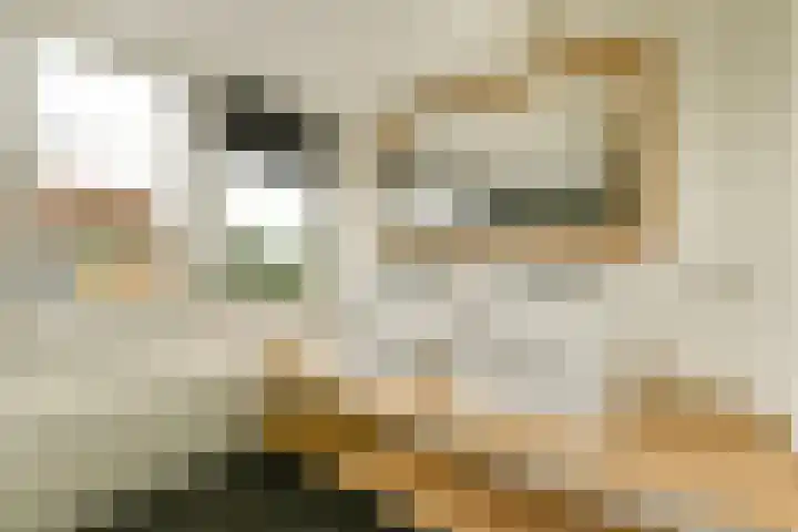 Kanaalweg 27 Halfweg thumbnail 38