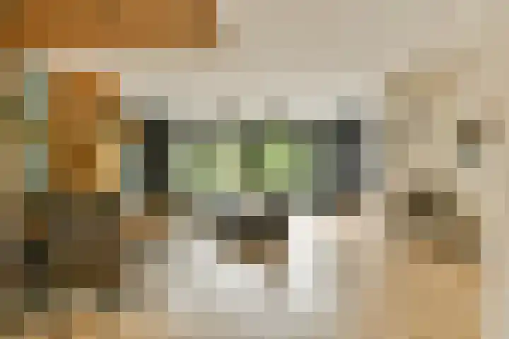Kanaalweg 27 Halfweg thumbnail 6