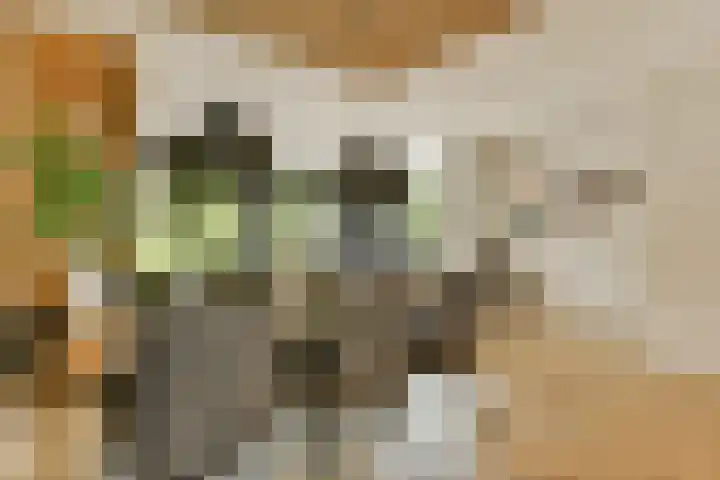 Kanaalweg 27 Halfweg thumbnail 7