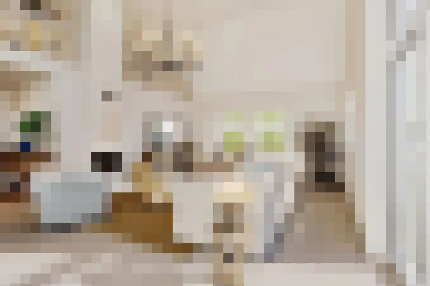 Kanaalweg 29 Landsmeer thumbnail 11