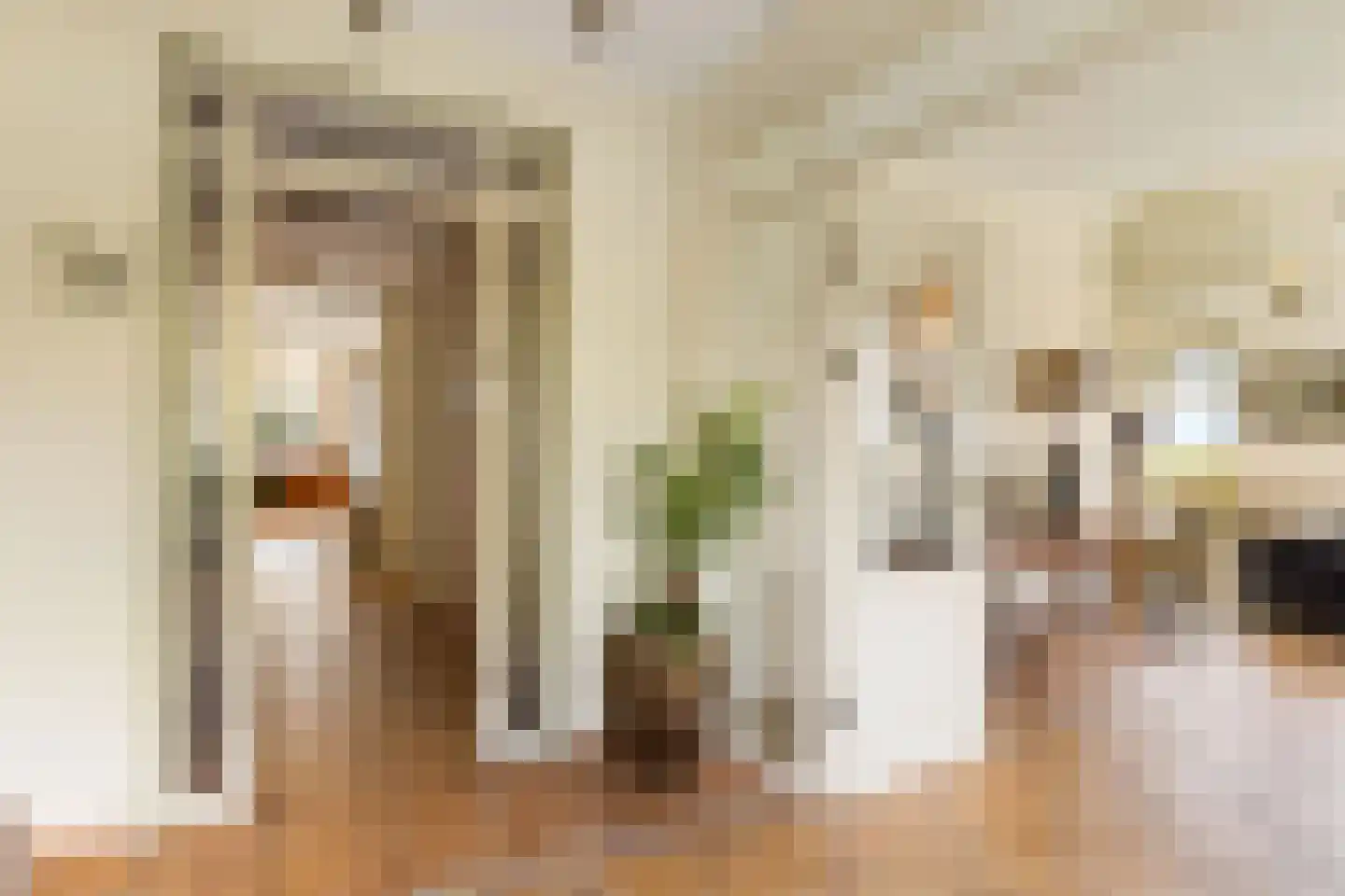 Kanaalweg 29 Landsmeer thumbnail 18