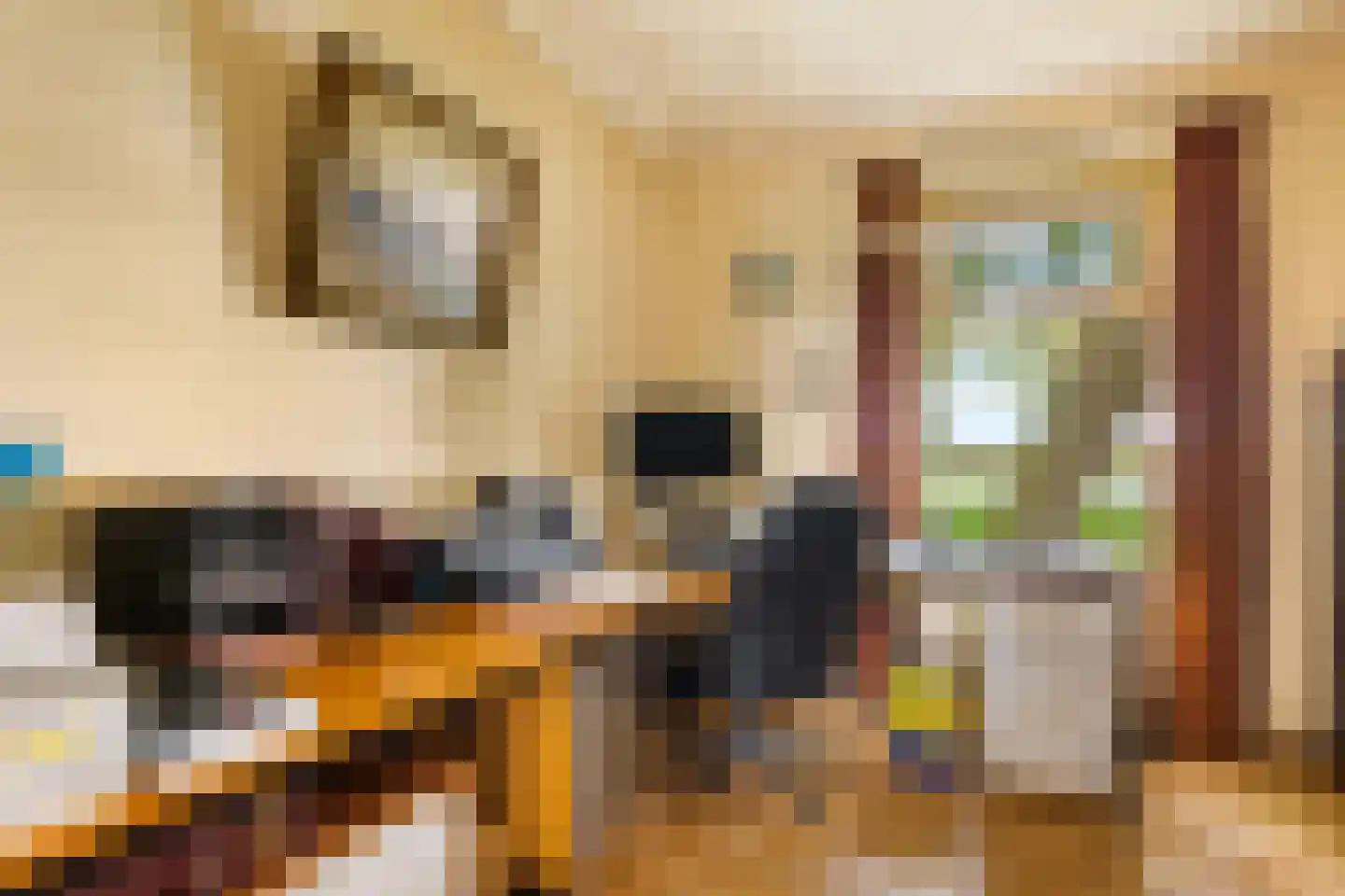 Kanaalweg 29 Landsmeer thumbnail 33