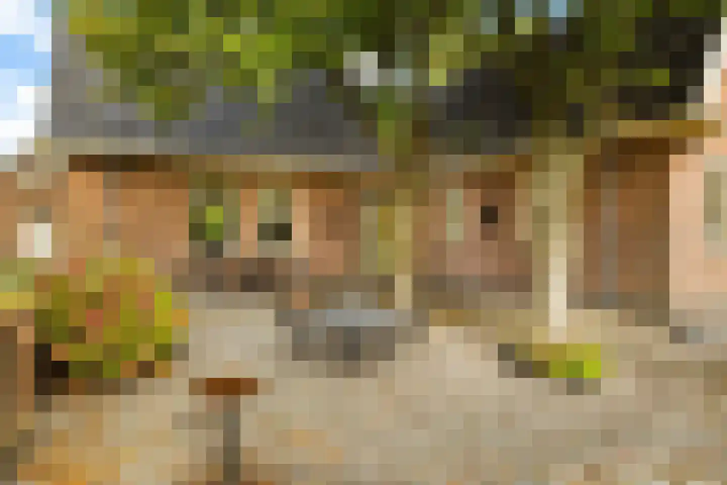 Kanaalweg 29 Landsmeer thumbnail 39