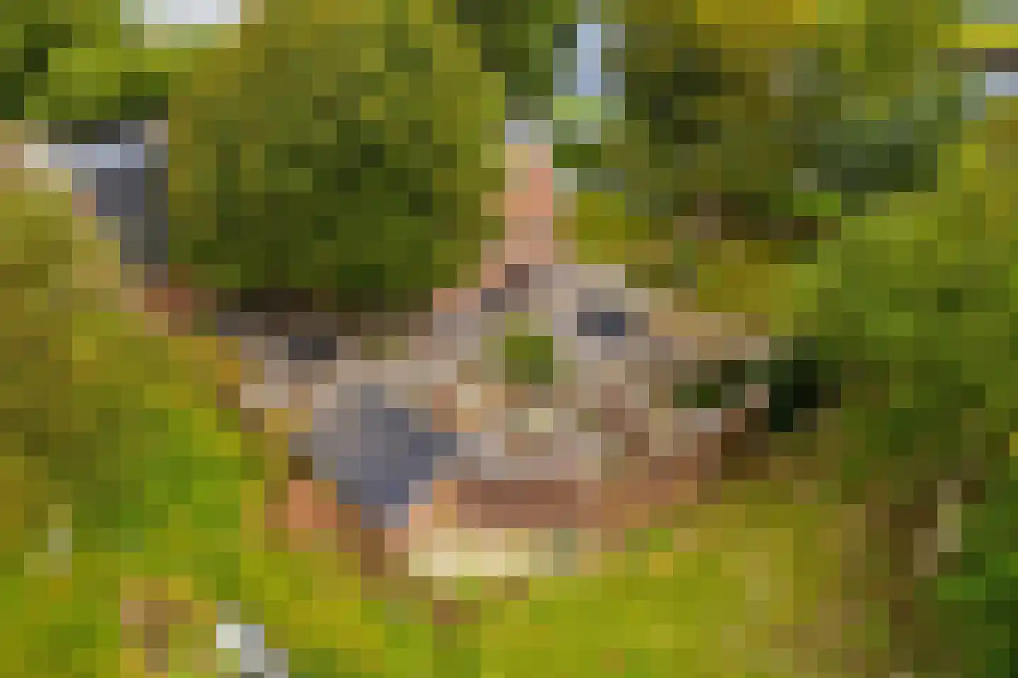 Kanaalweg 29 Landsmeer thumbnail 4