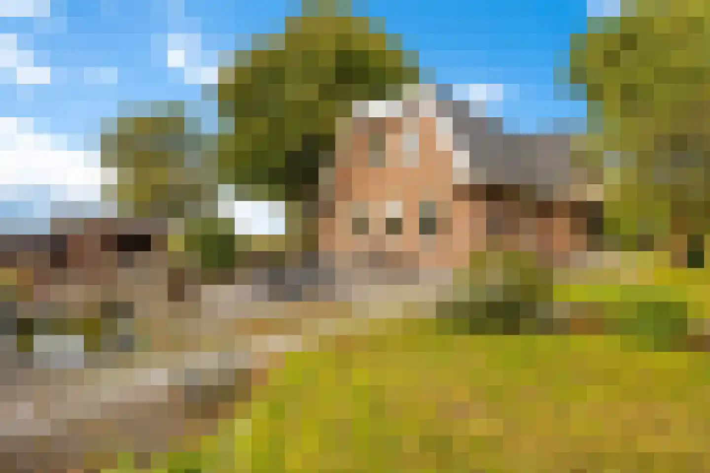 Kanaalweg 29 Landsmeer thumbnail 5