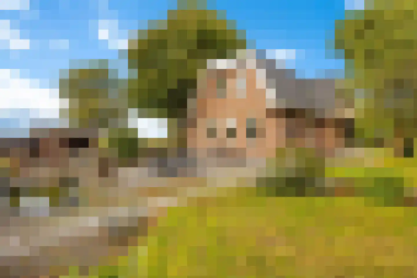 Kanaalweg 29 Landsmeer thumbnail 5