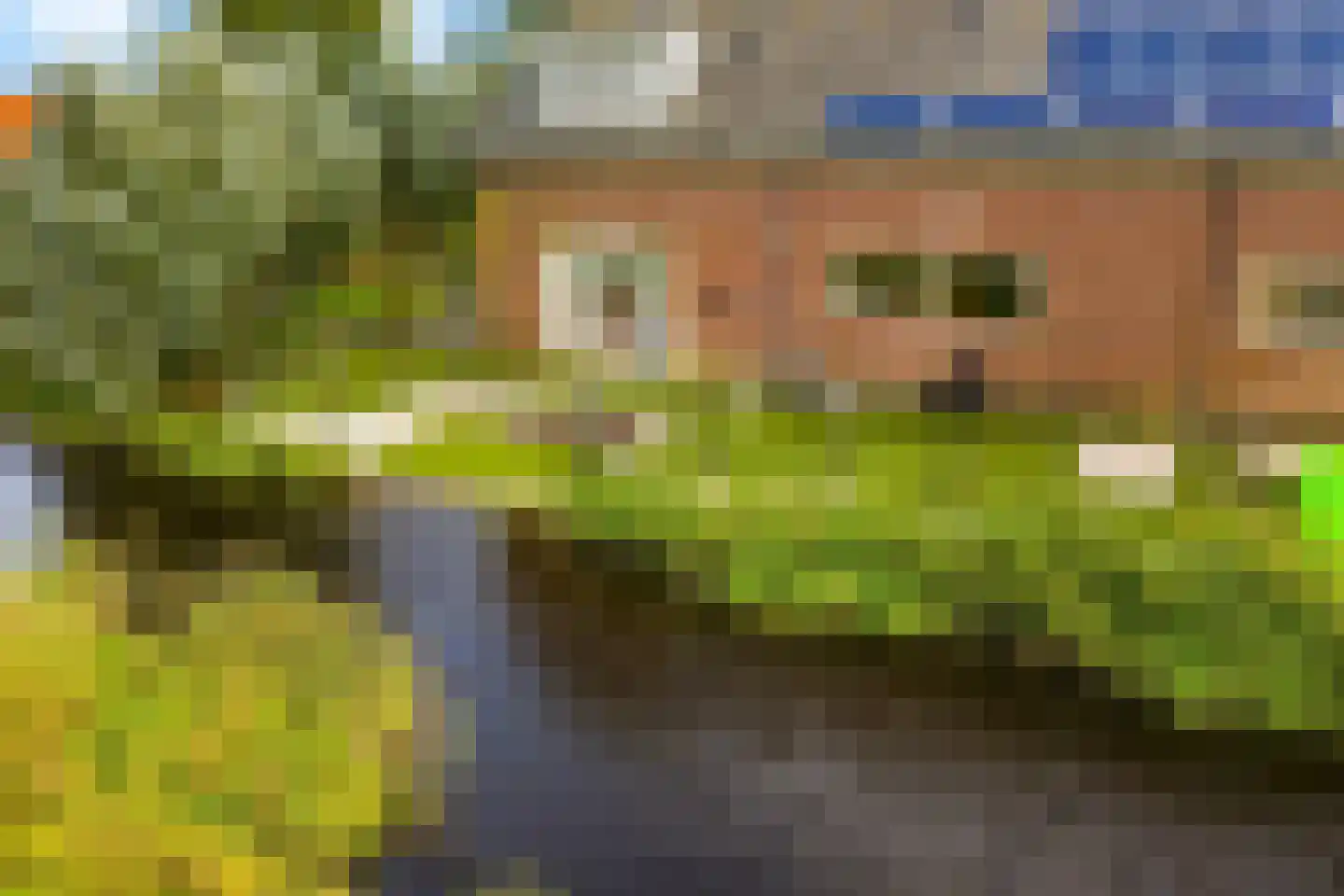 Kanaalweg 29 Landsmeer thumbnail 8