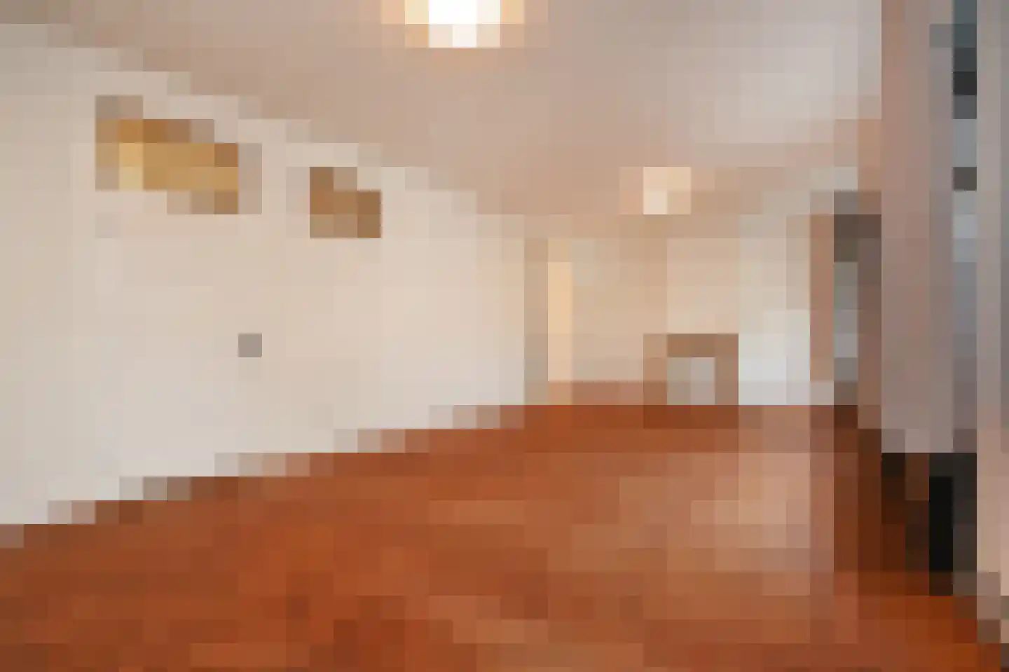 Kanaalweg 3 R Den Haag thumbnail 8