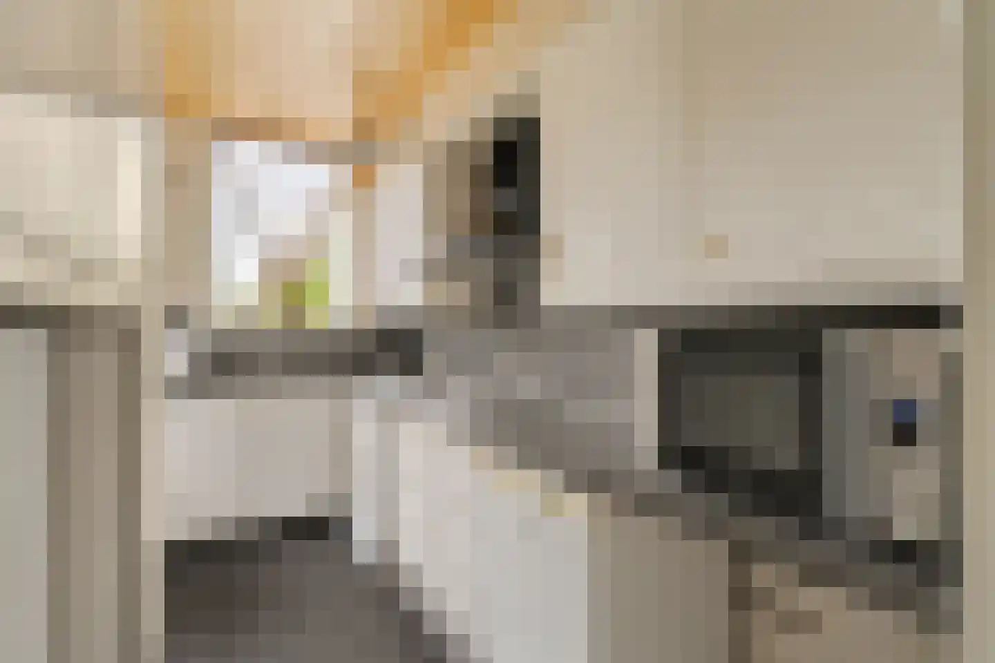 Kanaalweg 32 Capelle aan den IJssel thumbnail 11