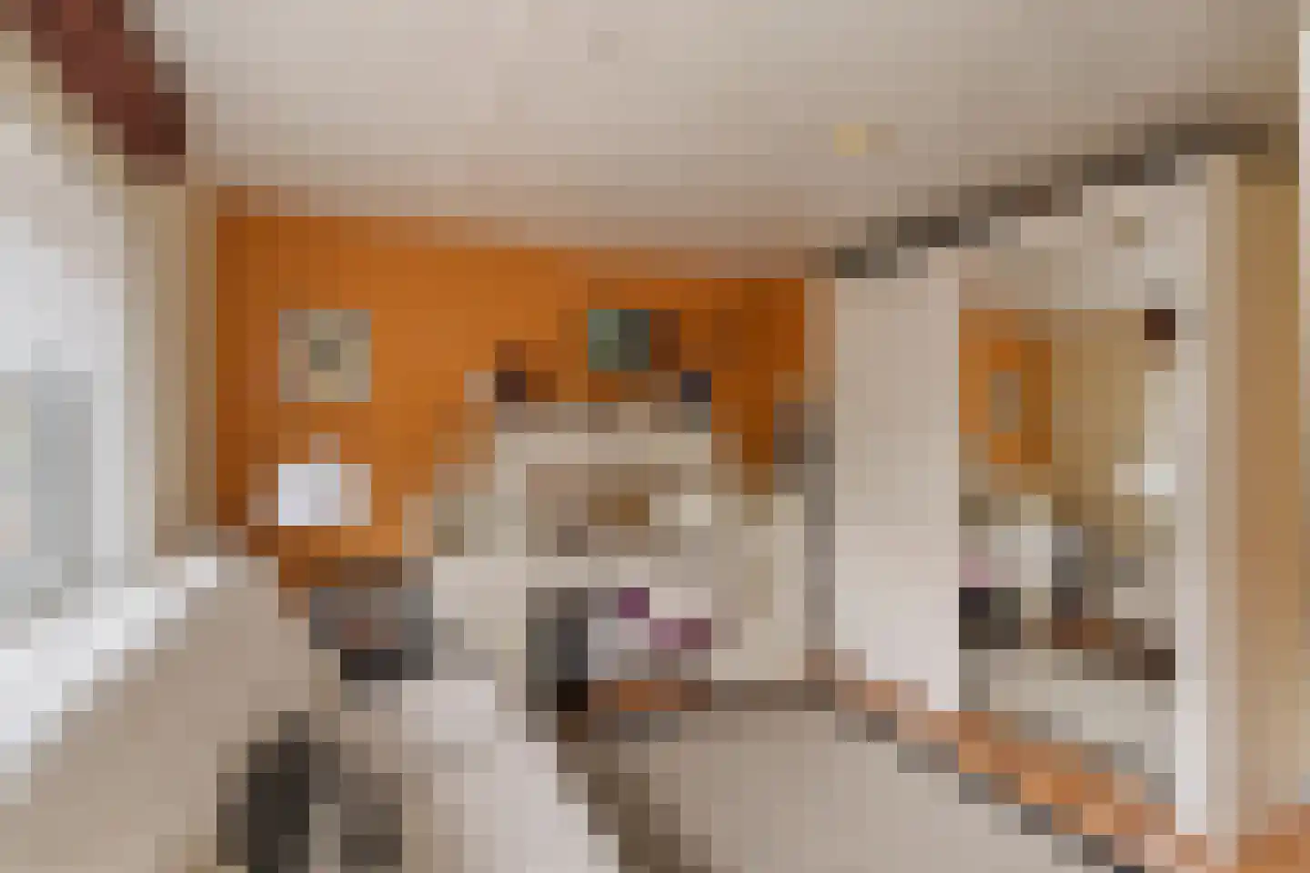 Kanaalweg 32 Capelle aan den IJssel thumbnail 18